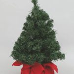 ALBERELLO VERDE CM60 BASE ROSSA - ENA CEN87668
